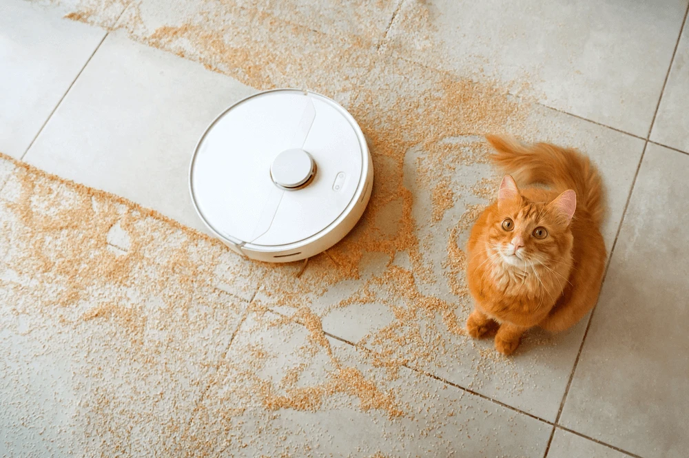 The robot vacuum cleaner